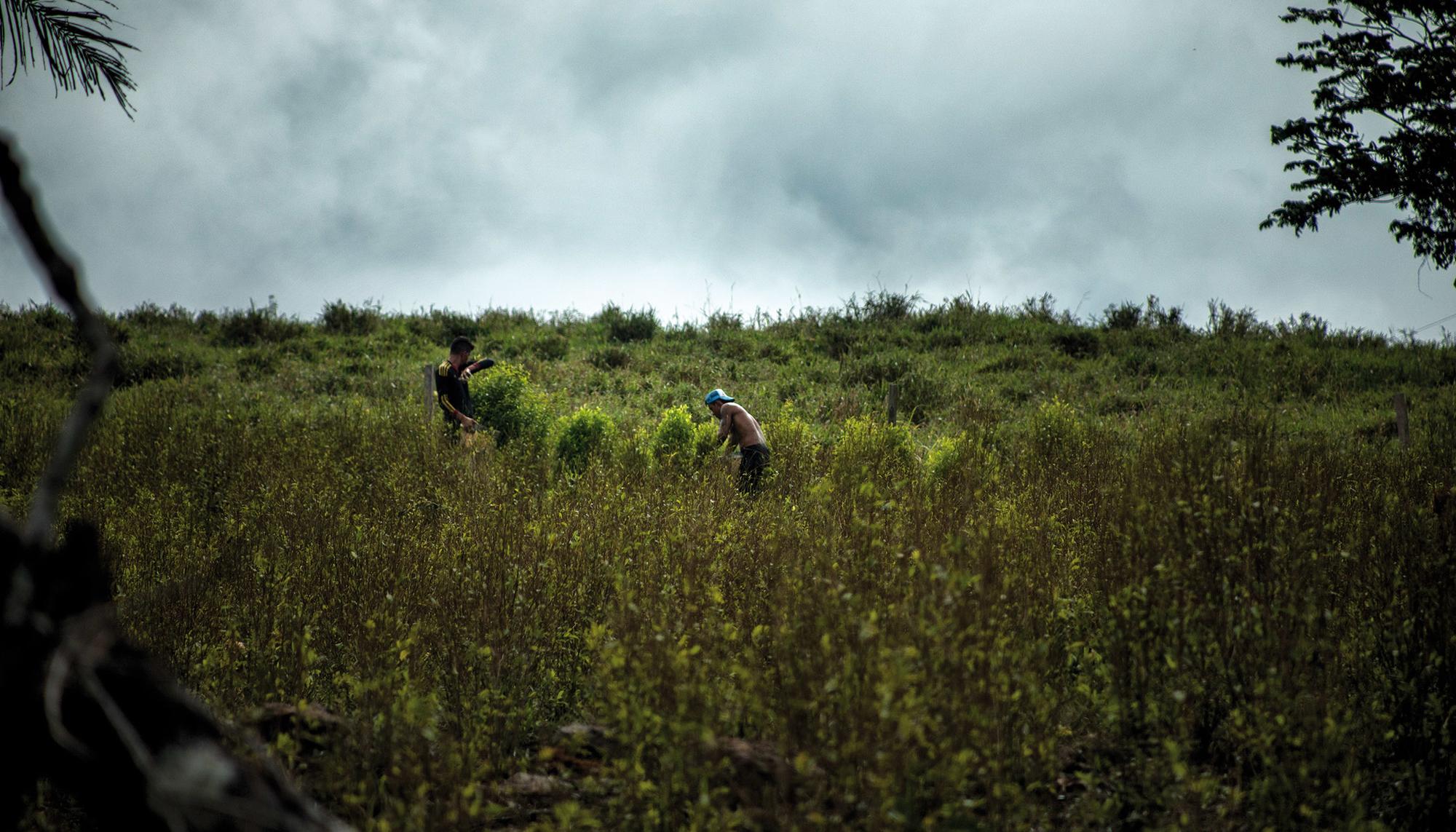 Colombia tras la vuelta al fuego 7